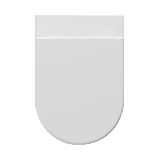 Aragio wall hung toilet with double flush