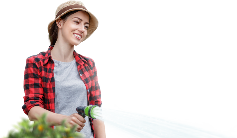 ���������� ������: 2 �� ���� 1 ��� ���������